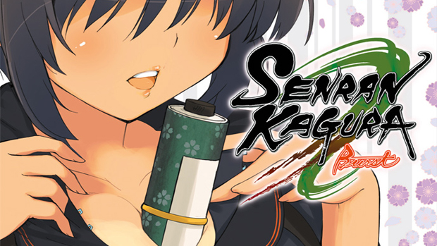 Senran Celebrations Day 1 – Senran Kagura Burst (2011) Video Game Review –  Average Joe Reviews